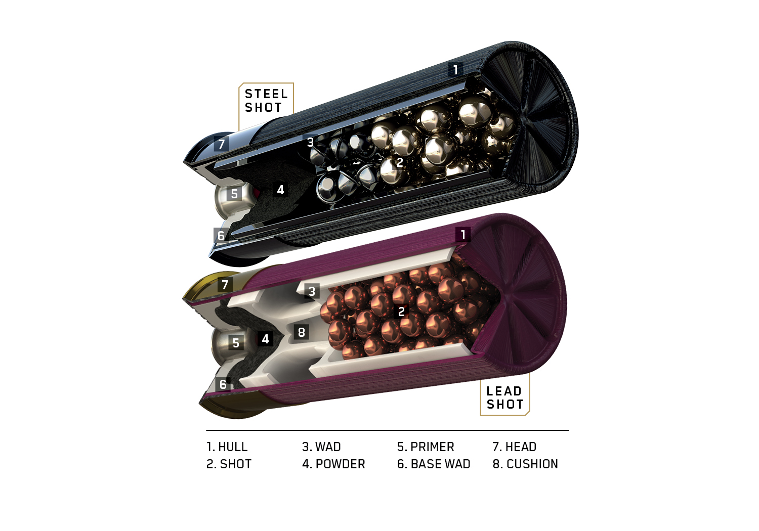 Anatomy of a Shotshell Poster, Qty 25 Product