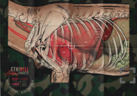 Deer Anatomy Targets, Qty 5 Product